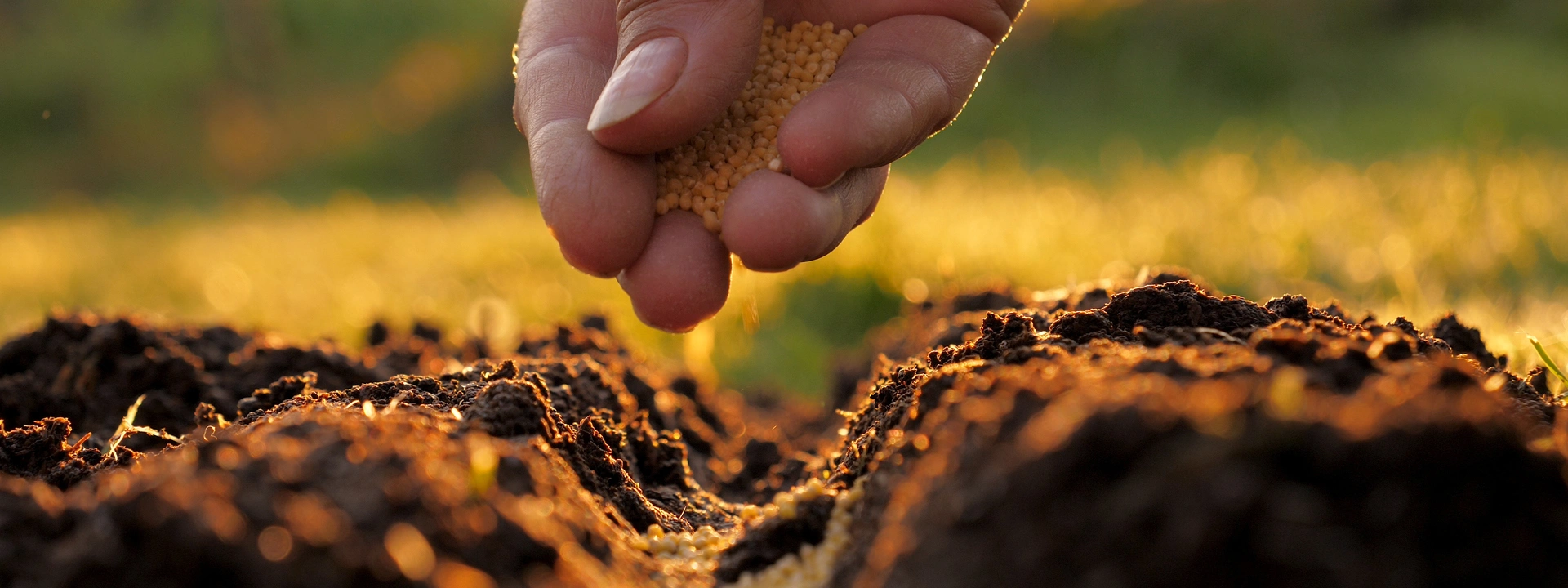 body-images-1920-fertilizer