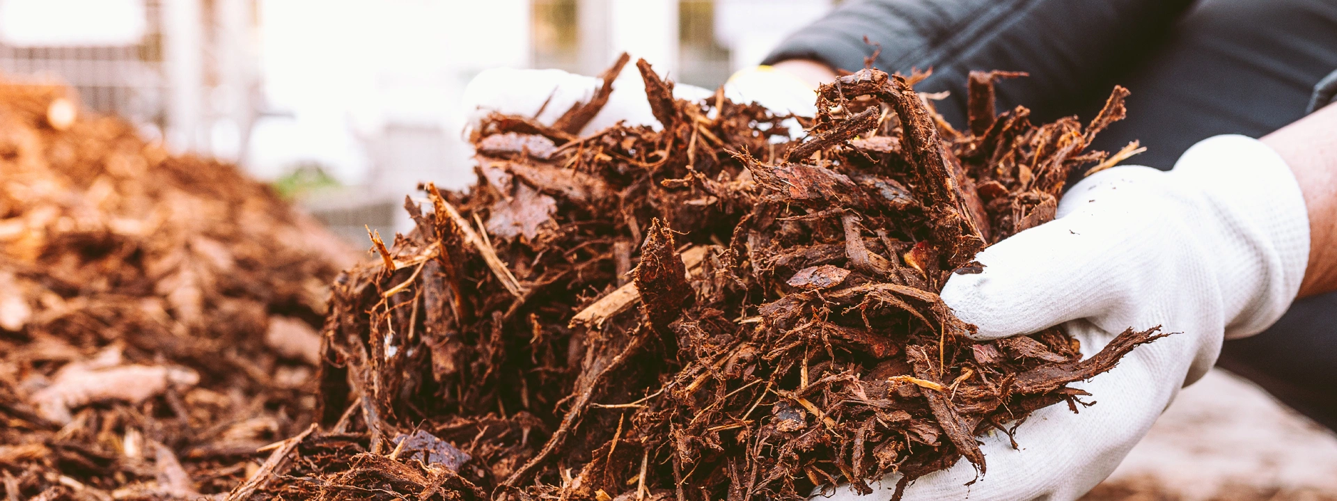 body-images-1920-mulch