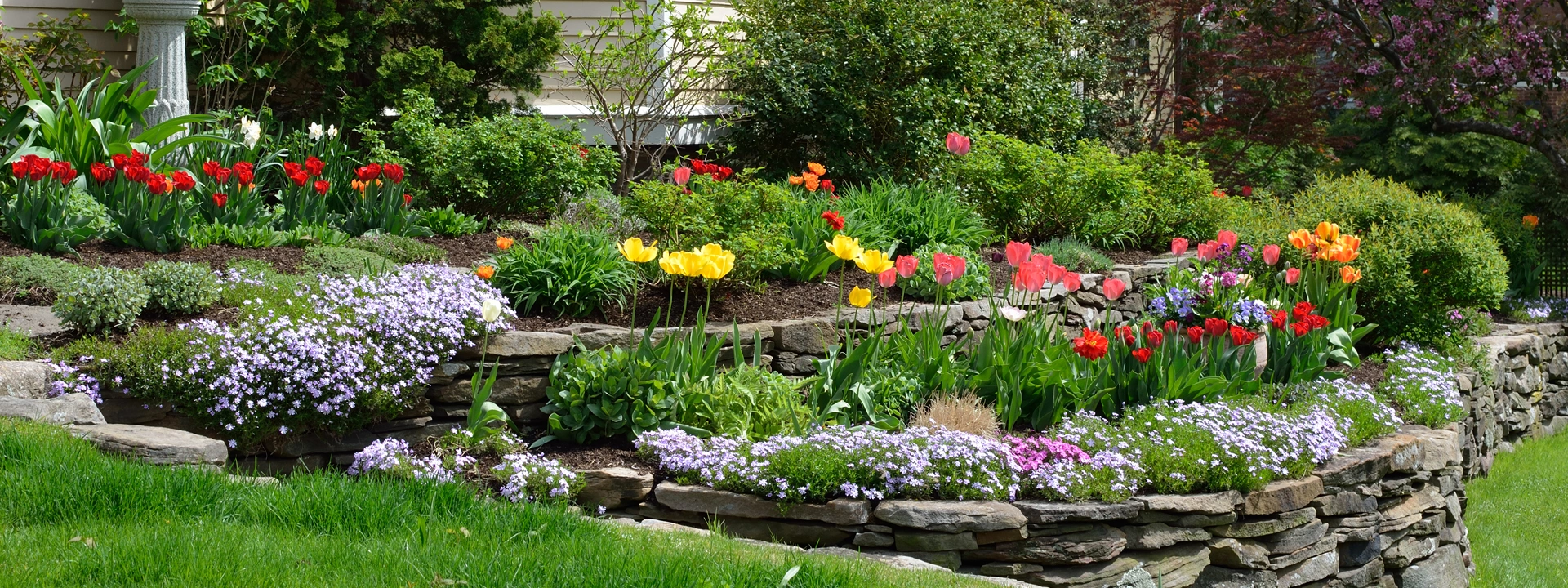 body-images-1920-plantsshrubs