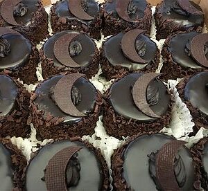 Dark Side of the Moon (4 inch)